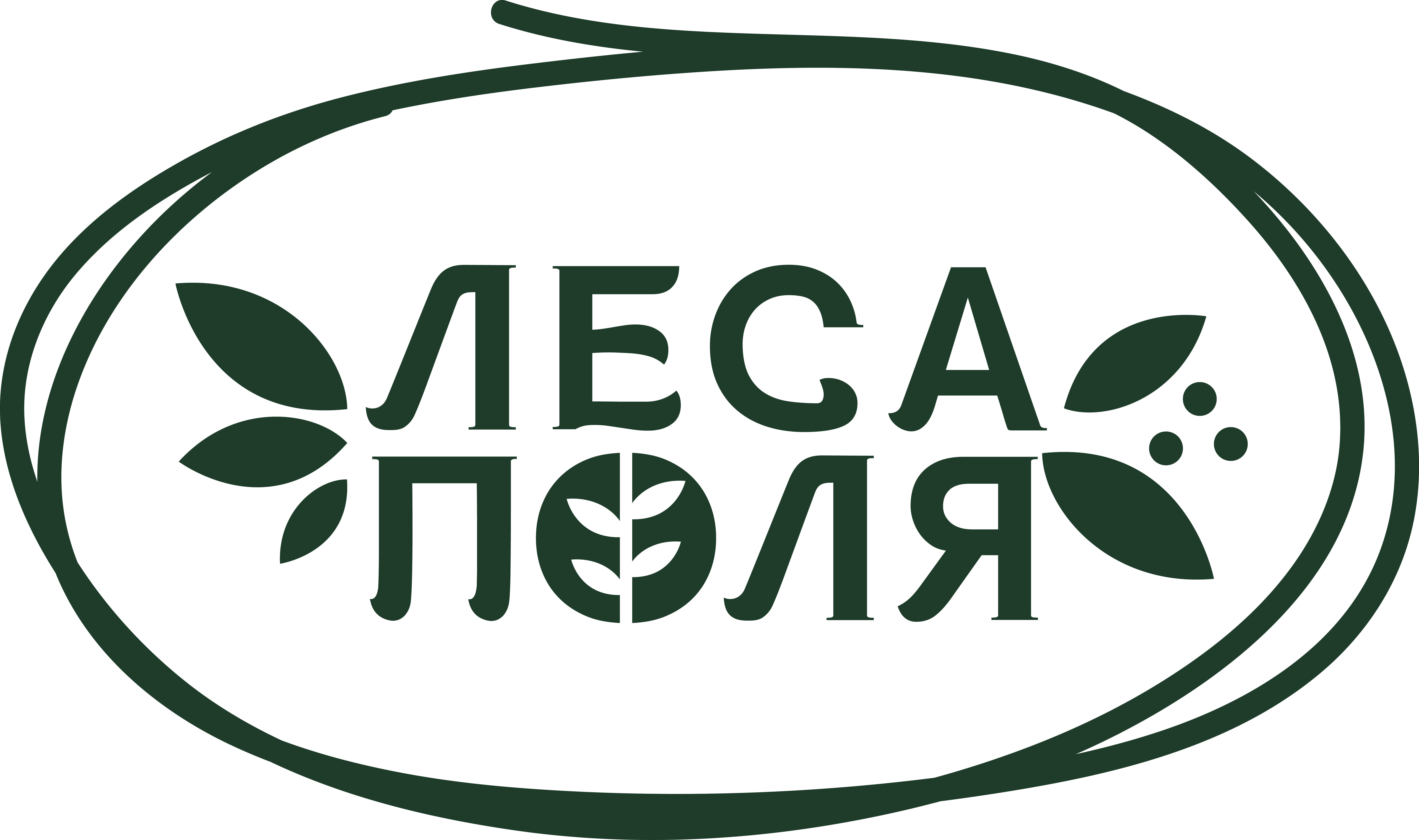 бренд лого Леса Поля