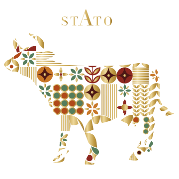бренд лого Стато
